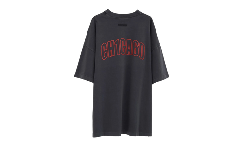 Chicago 90's Tee "Iron Grey" 125HO254562F